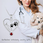 Birthstone Veterinary Stethoscope Necklace 925 Sterling Silver Nurse Vet Pendant with Dog Paw Nurse Jewelry Gifts for Veterinarian Nurse Women Veterinarian Gifts