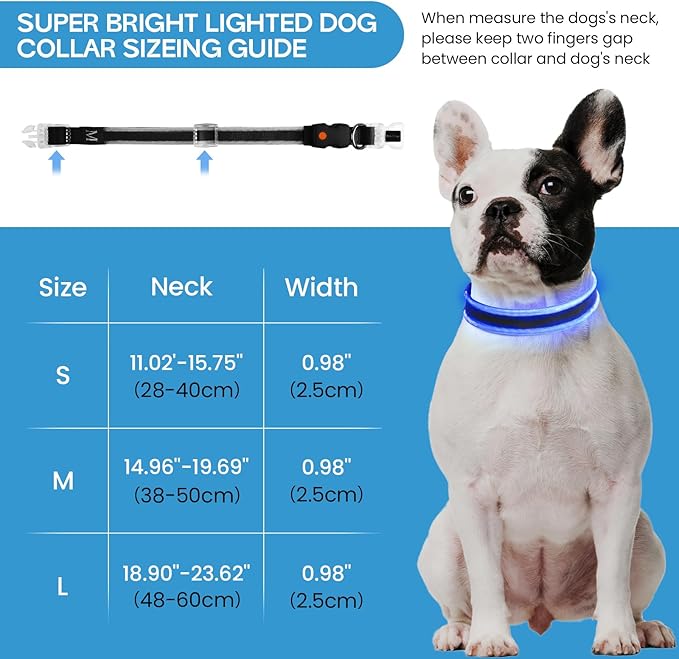 PcEoTllar Light up Dog Collars Rechargeable, LED Dog Collar Night Walking, Waterproof Flashing Glow in The Dark Dog Collars, Adjustable Dog Lights for Large Small Medium Dogs Blue-m