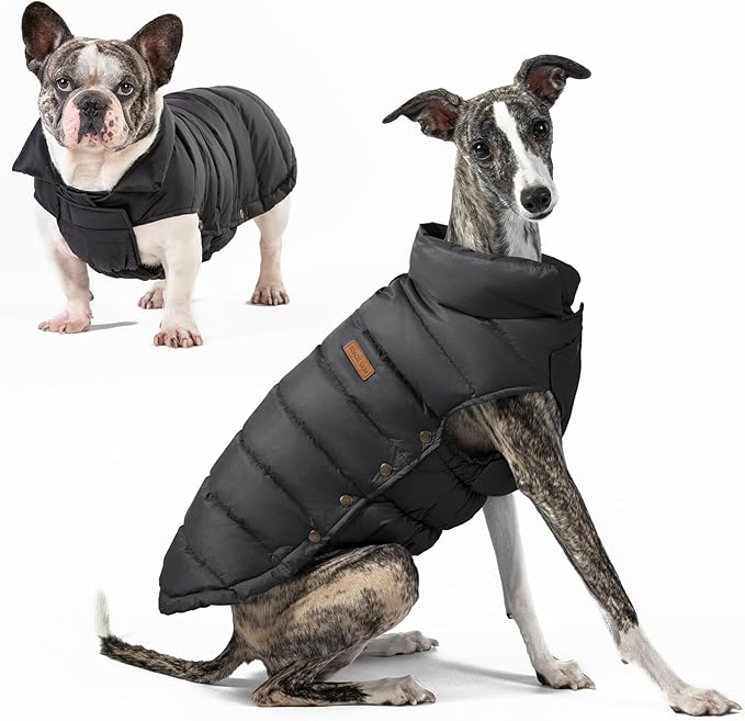 SPACE LION Puffer Jacket, Down Winter Coat, Waterproof, Windproof, Lightweight Jacket, Adjustable Fit for Medium Dogs(BlackGrey,L)