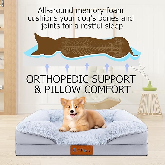 Orthopedic Dog Bed with Memory Foam - Luxurious Plush Surface, Removable & Washable Cover, Non-Slip Bottom, Dog Sizes (Small)