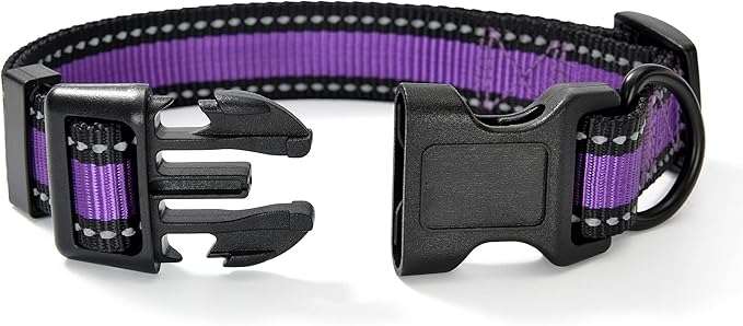 Mile High Life Dog Collar | Nylon Reflective Dog Collars | Light Weight Puppy Collars | Purple Dog Collars for Small Dogs (Purple, X-Small)