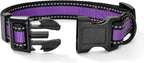 Mile High Life Dog Collar | Nylon Reflective Dog Collars | Light Weight Puppy Collars | Purple Dog Collars for Small Dogs (Purple, Small)