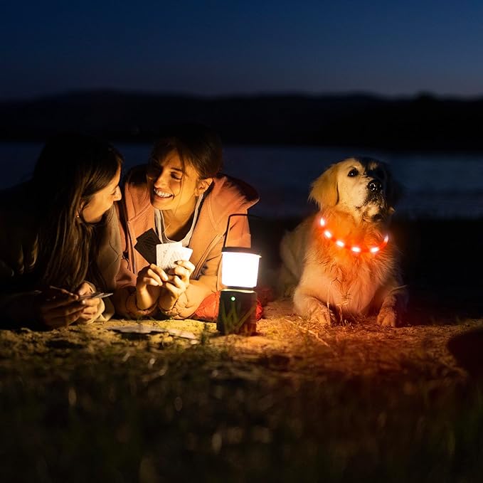 HIGO LED Dog Collar, Rechargeable Light Up Dog Collars, Lightweight Silicone Pet Safety Collar Lights for Night Walking (Orange-Silicone)