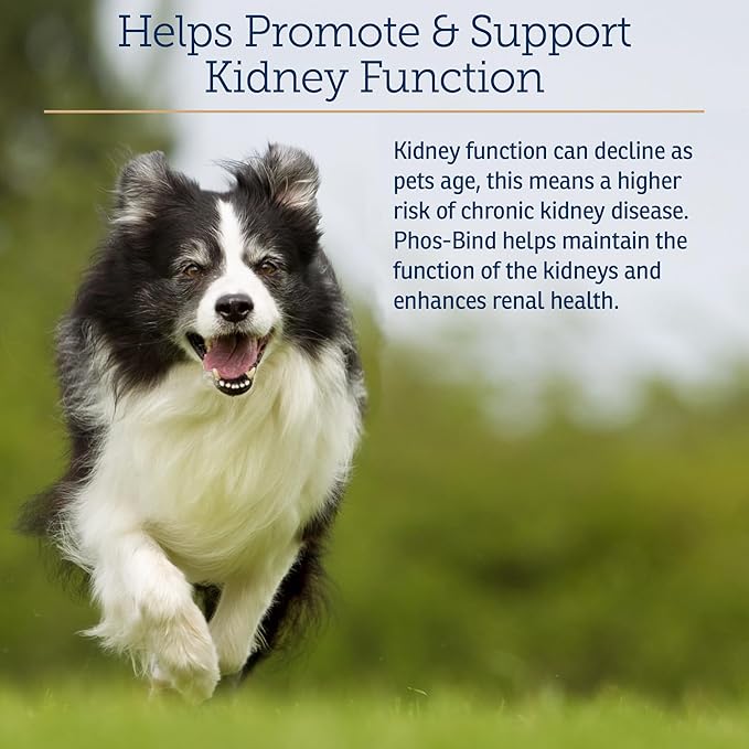 Rx Vitamins Phos-Bind - Kidney Support Supplement Powder - Phosphate Binder for Cats & Dogs for Kidney Health - Supports Normal Kidney Cleanse and Essential Kidney Care - 200g