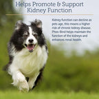 Rx Vitamins Phos-Bind - Kidney Support Supplement Powder - Phosphate Binder for Cats & Dogs for Kidney Health - Supports Normal Kidney Cleanse and Essential Kidney Care - 200g