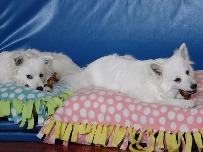 Pawstruck All-Natural 6" Bully Stick Springs for Dogs - Fun, Challenging, Rawhide-Free, 100% Beef, Single Ingredient Chew Bones - Fully Digestible, Low Odor - 10 Pack - Packaging May Vary