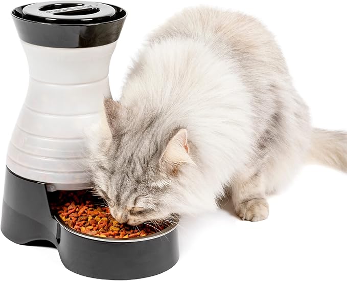 PetSafe Healthy Pet Food Station - Automatic Indoor Gravity Cat & Dog Feeder - Space-Saving Self Feeder - Easy to Clean - Small - Up to 2 lb Kibble Capacity