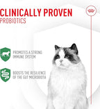 Royal Canin Probiotics for Cats Digestive and Immune Health Powder Supplement for Cats of All Ages, 30 Count (Pack of 3)