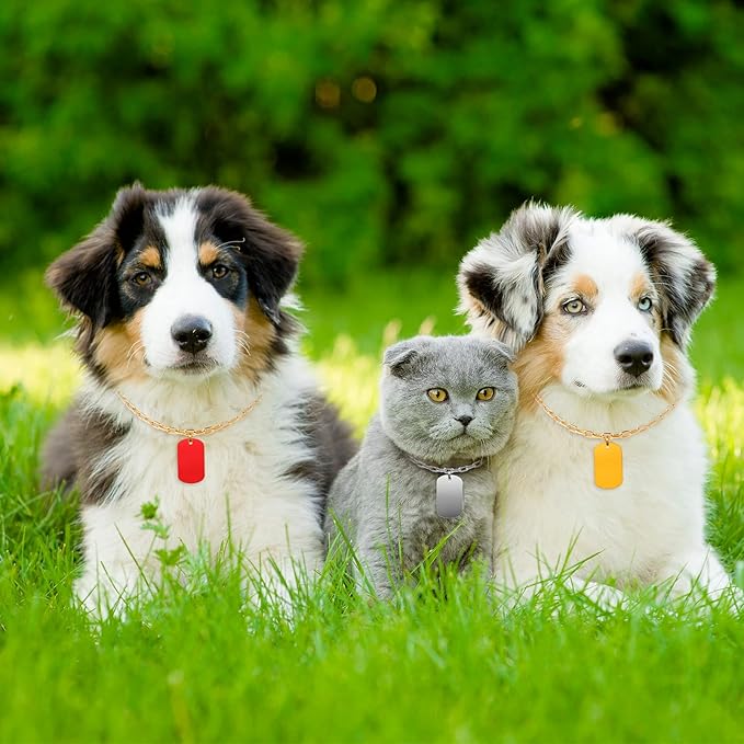 Ferraycle 300 Pieces Aluminum Dog Tags, Blank Discs for DIY Decorative Craft Pet Tags, Metal Stamping, Multicolor, 50 x 29 x 1 Mm, 3 mm Hole