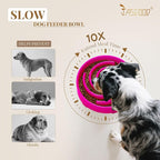 JASGOOD Slow Feeder Dogs Bowl for Large Medium Dogs,Anti-Gulping Pet Slower Food Feeding Bowls Stop Bloat,Preventing Choking Healthy Design Dogs Bowl, R-rose red
