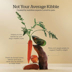 Now Fresh Grain-Free, Dry Dog Food, Real Meat and Fish, Turkey, Salmon and Duck Adult Recipe, All Breed Size, 22 lb Bag