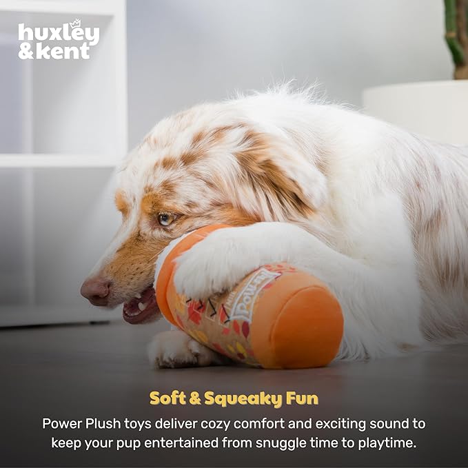 Huxley & Kent Funny Dog Toy w/Squeaker – Fall Power Plush Squeaky Dog Toys for Small, Medium & Large Dogs – Soft Stuffed Animal for Indoor Play & Fetch - Puggin Spice Latte, Small