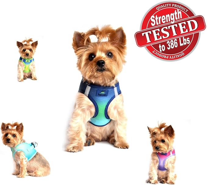 Doggie Design No Choke Dog Harness - Simple Step-in and Go Dog Vest for Small, Medium, and Large Breeds - Breathable Mesh Polyester Pet Harness - Cobalt Sport - M