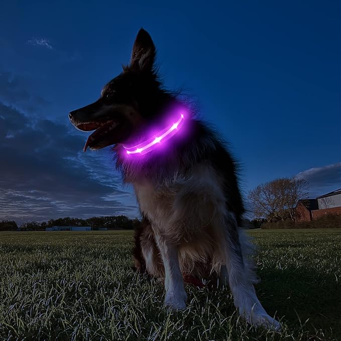 MASBRILL Light Up Dog Collars-RGB Led Collar for Dogs Rechargeable Lighted Dog Collar Water-Resistant Colorful Glow in The Dark Dog Collars for Night Walking