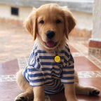 MYLUCKYTAG QR Code Silicone Pet ID Tag for Dogs and Cats - Online Profile, Location Alert Email, Digital and Quiet Tag, Durable Collar ID, Engraved