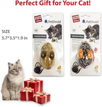 PETGEEK Gigwi Interactive Cat Toys for Indoor Cats, Automatic Electronic Moving Mouse Cat Toy with Realistic Squeaky, Kitten Toys for Hunting Play Exercise (Set)