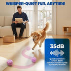 Dog Balls: Interactive Dog Ball Auto Rolling - Interactive Dog Toys for Aggressive Chewers - Bouncy & Throwable, Type-C Rechargeable, Washable, for Small & Medium & Large Dogs – Pink