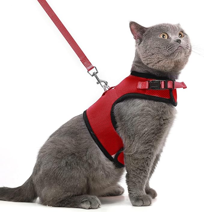 PUPTECK Soft Mesh Cat Vest Harness and Leash Set Puppy Padded Pet Harnesses Escape Proof for Cats Small Dogs, Red Large