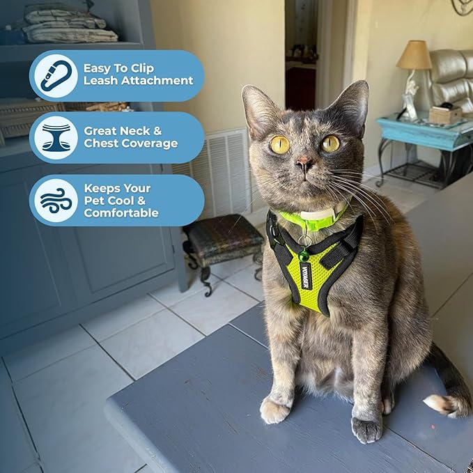 Voyager Escape-Proof Step-in Lock Cat Harness & 5ft Neoprene-Handle Leash Set All-Weather Mesh with Reflective Stitching for Small to Large Cats by Best Pet Supplies, Lime Green/Black Trim, XS
