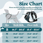 rabbitgoo Dog Harness Small Sized, No Pull Pet Harness with 3 Buckles, Adjustable Soft Padded Vest with Control Handle, Walking Reflective Pet Vest for Small Dogs, Blue Coral, S