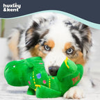 Huxley & Kent Funny Dog Toy w/Squeaker – Holiday Power Plush Squeaky Dog Toys for Small, Medium & Large Dogs – Soft Stuffed Animal for Indoor Play & Fetch - Tree Rex 2.0, Large