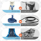 BEAUTYZOO Cat Harness and Leash Set for Walking Escape Proof, Neck Release Adjustable Harness for Kitten Puppy Small Medium Large Cats, Soft Cute Easy Control Small Cat Harness for Cats Boy and Girls