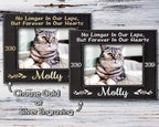 Stocking-Factory Personalized Cat Sympathy Gift Picture Frame Pet Loss Engraved (Gold or Silver) Photo Plaque In Loving Memory Beloved Dog
