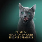 Sheba Perfect Portions Wet Cat Food Cuts in Gravy Variety Pack, Roasted Chicken Entree and Tender Turkey Entree, 2.6 oz. Twin-Pack Trays (12 Count, 24 Servings)