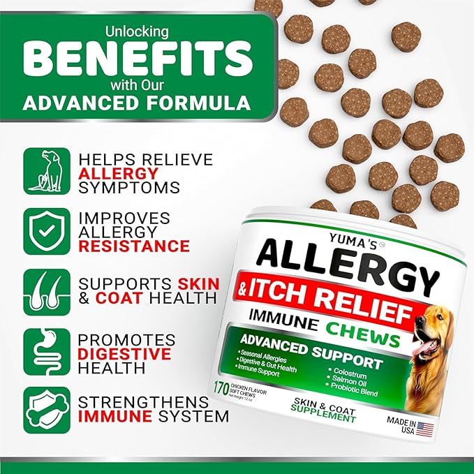 2-Pack Dog Allergy Relief Chews - Dog Itching Skin Relief Treatment Pills - Anti-Itch Chewables - Itchy and Paw Licking - Hot Spots - Omega 3 Fish Oil - Dry Skin & Coat Supplement