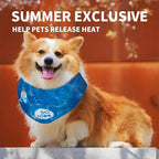 ALL FOR PAWS Cooling Bandana for Dogs, Blue, M(Neck Girth 38-46 cm), Dog Collar
