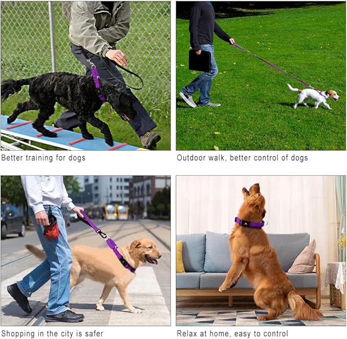 PLUTUS PET Reflective Martingale Collar with Quick Snap Buckle,No Pull Dog Choker Collar for Small Medium Large Dogs,L,Purple