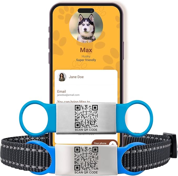 Smart Slide-On QR Code Pet Tag – Silent Dog & Cat ID Tag with Laser Engraving – Stainless Steel & Silicone – No App Needed – Custom Pet Profile – Fits Most Collars (Blue, Small)