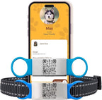Smart Slide-On QR Code Pet Tag – Silent Dog & Cat ID Tag with Laser Engraving – Stainless Steel & Silicone – No App Needed – Custom Pet Profile – Fits Most Collars (Blue, Small)
