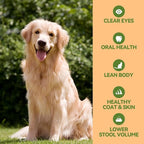 OPET Freeze Dried Chicken Cat Treats, Single Ingredient Grain Free High Protein Pet Food for Cats and Dogs, Healthy Training Snacks, Freeze Dried Cat Food (Chicken Breast, 1.48 Ounce)