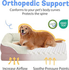 Orthopedic Washable Large Dog Bed - Dog Beds Large Sized Dogs with Removable Cover Waterproof Orthopedic Pet Bed XL Dogs Beds with Bolster
