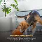 Huxley & Kent Funny Dog Toy w/Squeaker – Fall Power Plush Squeaky Dog Toys for Small, Medium & Large Dogs – Soft Stuffed Animal for Indoor Play & Fetch - Punkin Pie, Small