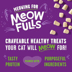 Stella & Chewy's Meowfulls Freeze Dried Cat Treats - Turkey & Duck Recipe - Raw Protein with Probiotics & Salmon Oil - 1 Calorie Per Treat - 1.5 oz