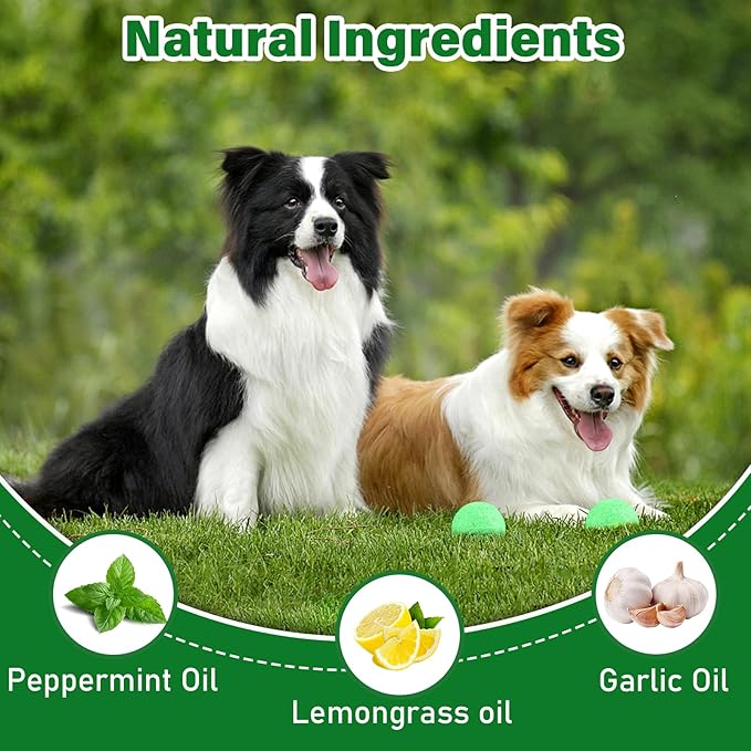 Dog Repellent for Yard, 36 Pcs Natural Peppermint Oil Dog Cat Deterrent Ball Outdoor Indoor Preventing Dogs from Peeing Scratch and Chew, Keep Dogs Out of Lawn Garden