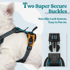 rabbitgoo Dog Harness No Pull with 2 Leash Clips, Adjustable Soft Padded, Reflective Oxford No Choke Pet Vest with Easy Control Handle for Puppy, Blue Coral, XS