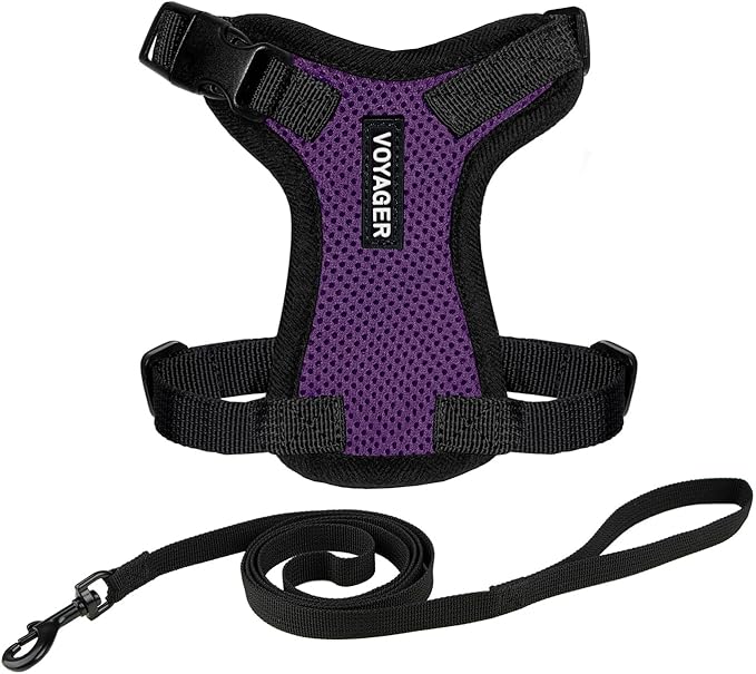 Voyager Escape-Proof Step-in Lock Cat Harness & 5ft Neoprene-Handle Leash Set All-Weather Mesh with Reflective Stitching for Small to Large Cats by Best Pet Supplies, Purple/Black Trim, XS
