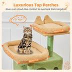 Taoqimiao Cactus Cat Tree, 57.5-Inch Cat Tower for Indoor Cats Large Adult, Extra Large Cat Condo, 8 Sisal Scratching Posts, Metal Frame Cozy Hammock, Durable Scratch Board, 2 Top Perches, MSC026