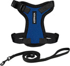 Voyager Escape-Proof Step-in Lock Cat Harness & 5ft Neoprene-Handle Leash Set All-Weather Mesh with Reflective Stitching for Small to Large Cats by Best Pet Supplies, Royal Blue/Black Trim, XXXS