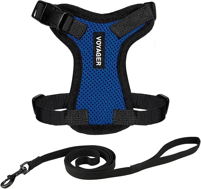 Voyager Step-in Lock Cat Harness and Reflective Cat Leash with Neoprene Handle by Best Pet Supplies - Supports Small, Medium and Large Breed Cats, Royal Blue/ Black Trim, size S - 5ft