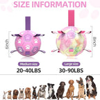 QDAN Dog Toys Soccer Ball with Straps - Durable Balls for Small Medium Dogs, Beach Pool Water Toy Dog Tug Toys for Tug of War, Puppy Pet Birthday Gifts (6 Inch)