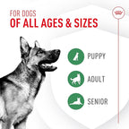 Royal Canin Probiotics for Dogs Digestive and Immune Health Powder Supplement for Dogs of All Ages, 30 Count