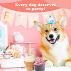 Interactive Dog Toys for Boredom-Multi-Functional Design-Birthday Gifts for Dogs-Frozen Treats-Medium/Large Dog Toys-Party Ice Cream