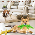 No Stuffing Dog Squeak Toys-3 Pack Chew Toys for Small Medium Large Breed- Durable Puppy Teething Interactive to Keep Them Busy- Best Birthday Gift