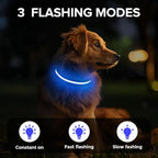 Light Up Dog Collar, Adjustable USB Rechargeable Glow in Dark Dog Collar ，Waterproof Dog Collars for Large Dogs (Blue, Large)