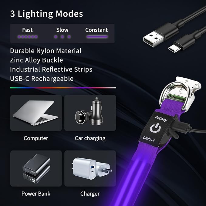 LED Dog Collar with Metal Buckle - USB Rechargeable Glow Collar for Dogs, Waterproof Light Up Dog Collar w/Reflective Strips - Adjustable Night Safety Collars by PetIsay(Purple, Small)