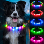 Flashseen LED Dog Collar, USB Rechargeable Glowing Lighted Up Collar, Cuttable Water-Resistant TPU Safety Collar Lights for Small Medium Large Dogs (Style 1)